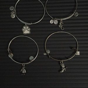 4 ALEX AND ANI'S